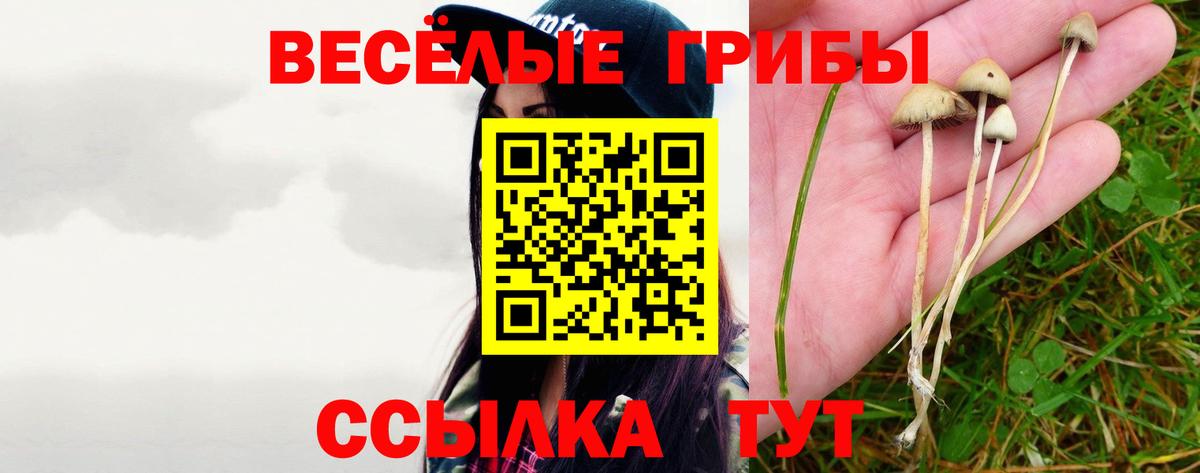 Галлюциногенные грибы Psilocybine cubensis Мытищи